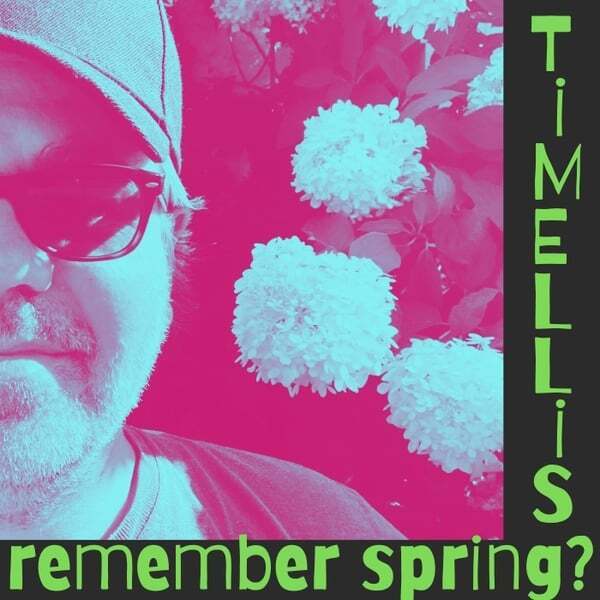 Cover art for Remember Spring?